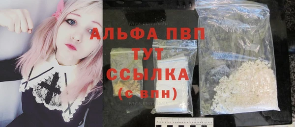 стаф Алексин