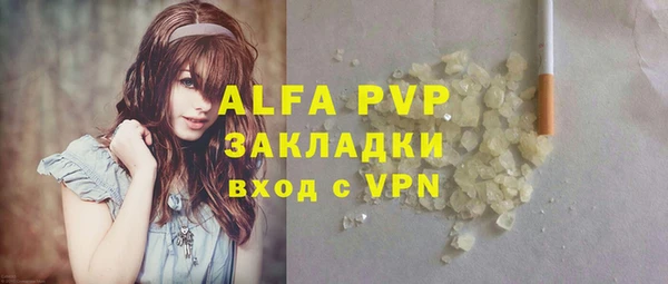 стаф Алексин