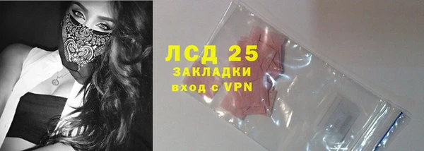 стаф Алексин