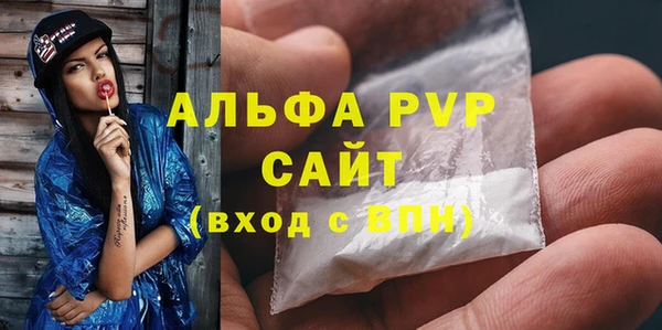 стаф Алексин
