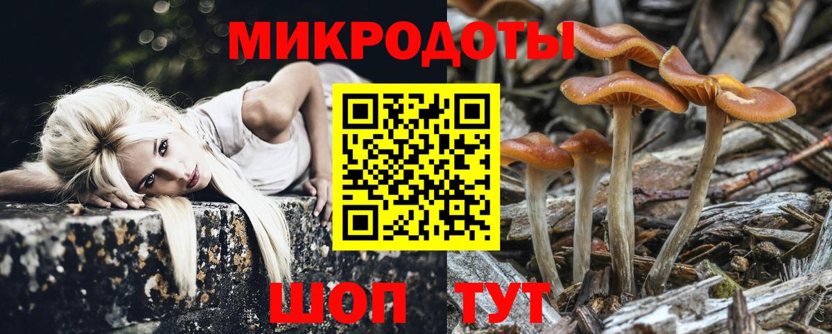 где можно купить   Вход с VPN  Ухта  Псилоцибиновые грибы Cubensis 